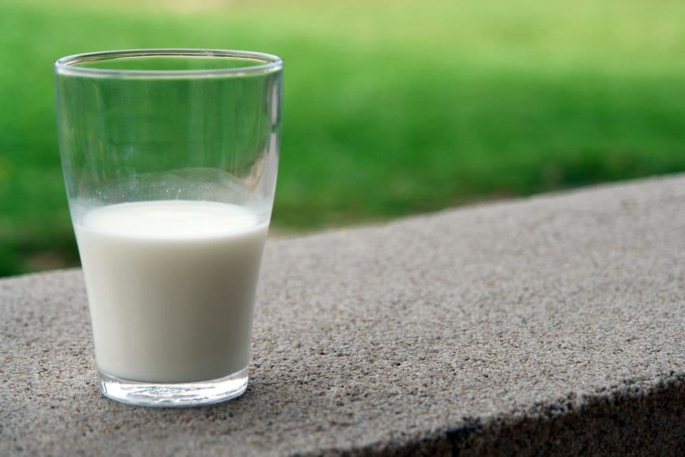 Fresh Buffalo Milk